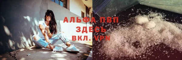 СК Нефтекумск
