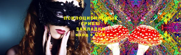 не бодяженный Надым