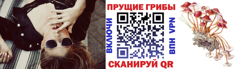 Галлюциногенные грибы GOLDEN TEACHER  OMG ССЫЛКА  Нахабино 