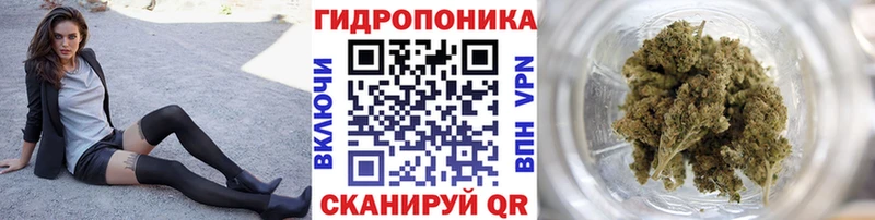 Марихуана конопля Нахабино